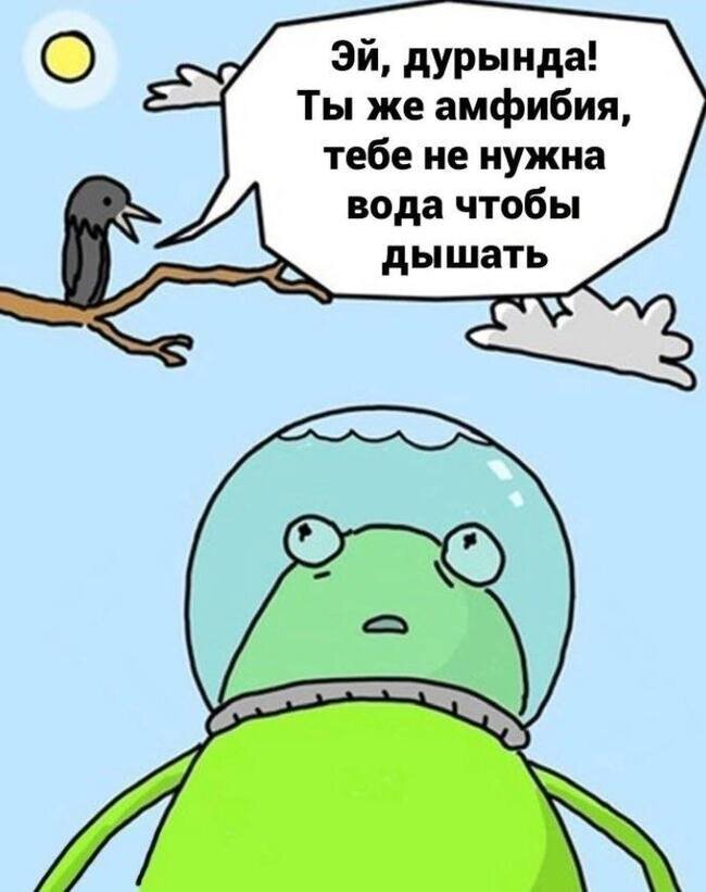 К путешествию готов!