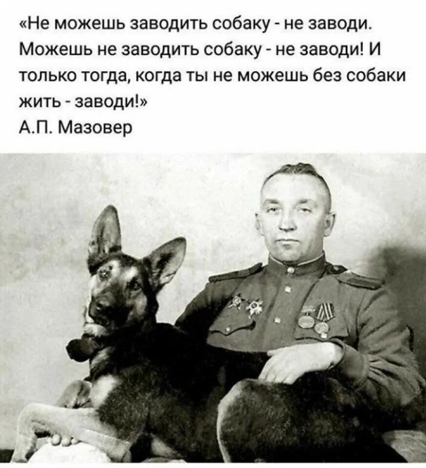 Это одновременно самые важные и бесполезные слова. Важные потому, что, прислушавшись к ним, можно избежать многих проблем, бесполезные потому, что понять их смысл, чтобы прислушаться, может только человек, у которого уже была собака.