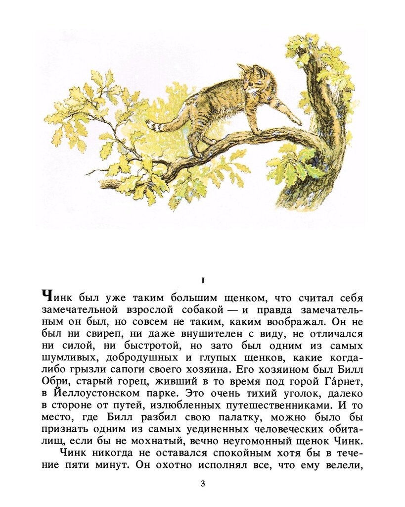Прекрасный рассказ Э.Сетона-Томпсона из его цикла историй о животных - "Чинк"