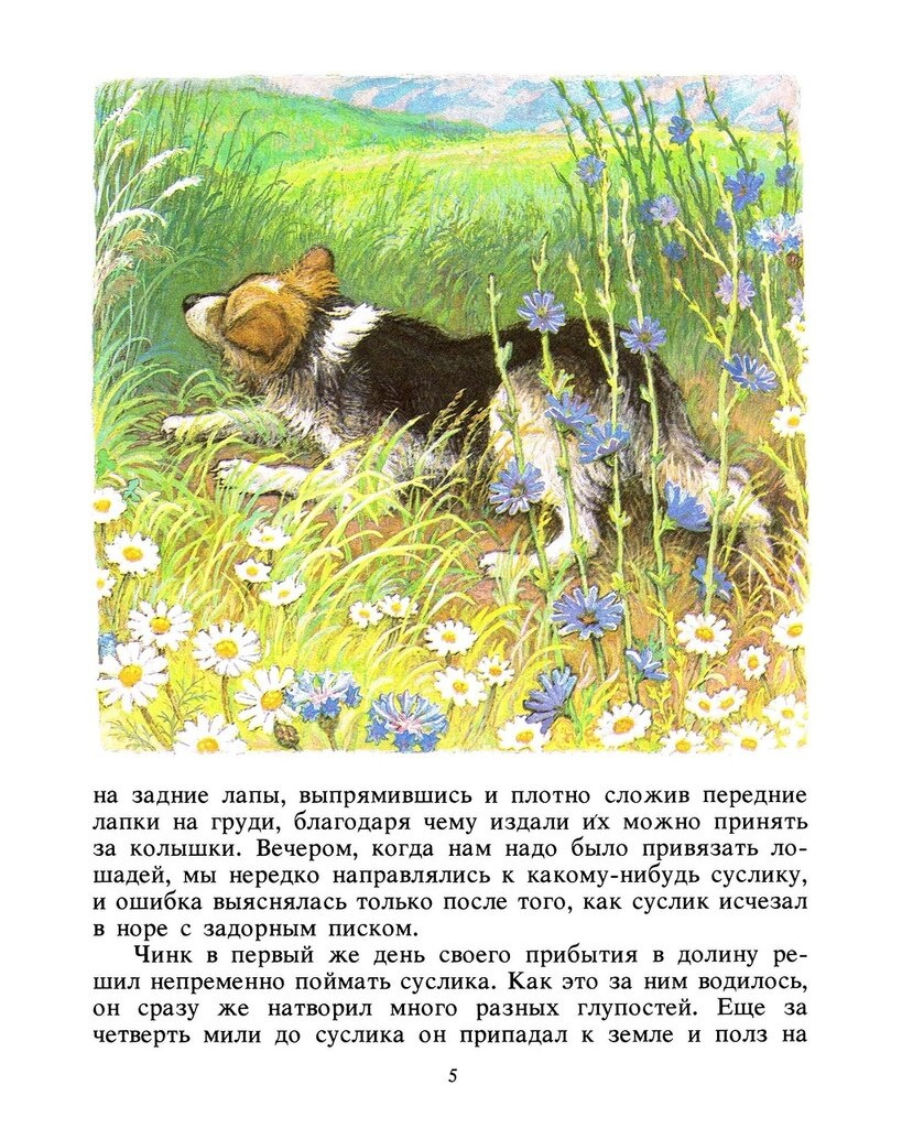 Прекрасный рассказ Э.Сетона-Томпсона из его цикла историй о животных - "Чинк"