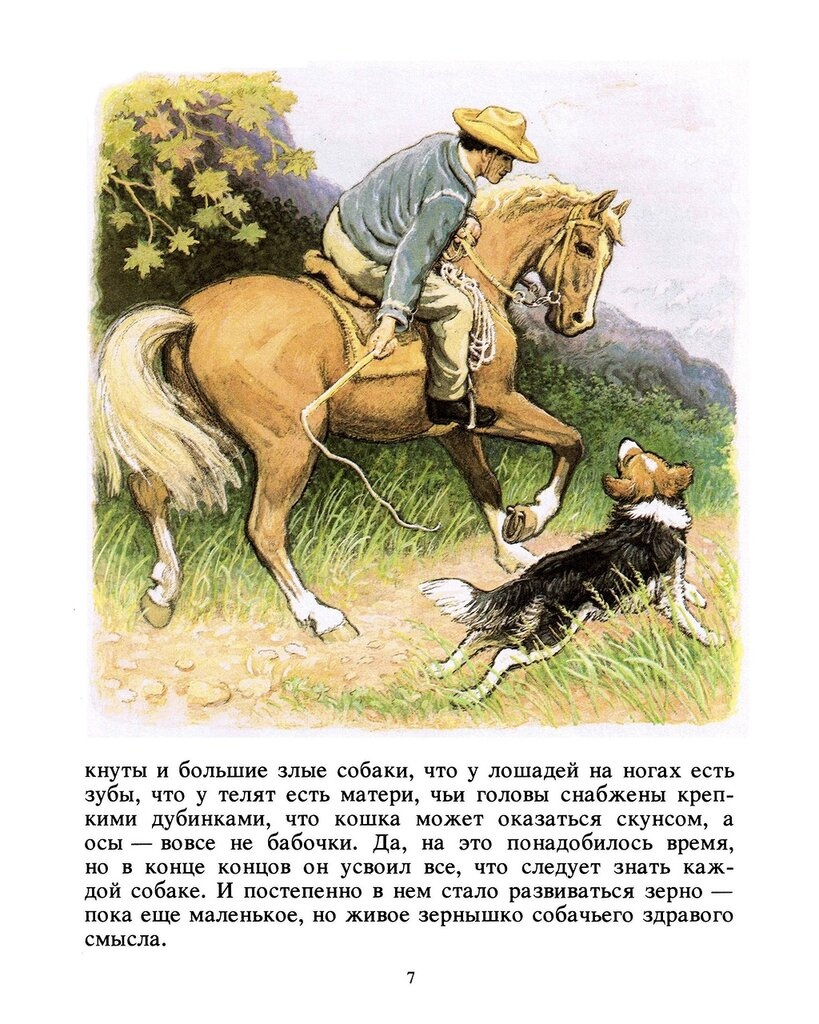 Прекрасный рассказ Э.Сетона-Томпсона из его цикла историй о животных - "Чинк"