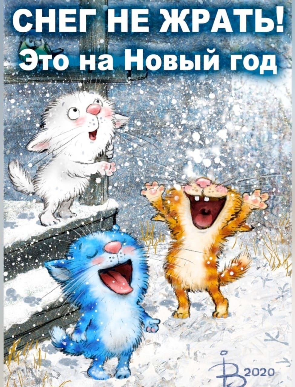 Снег не жрать