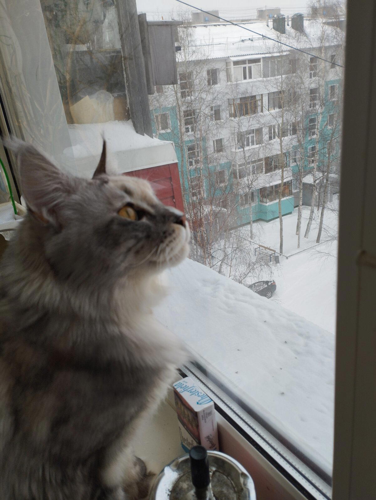 Первый пост.