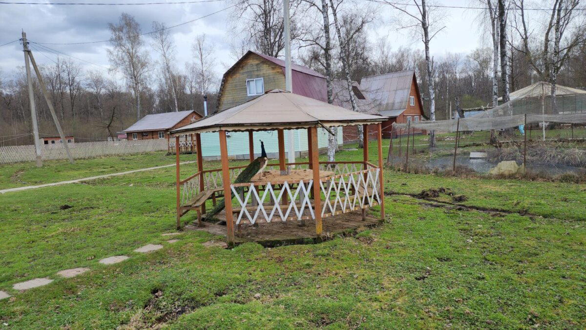 Три шага от дома – случайный дворец