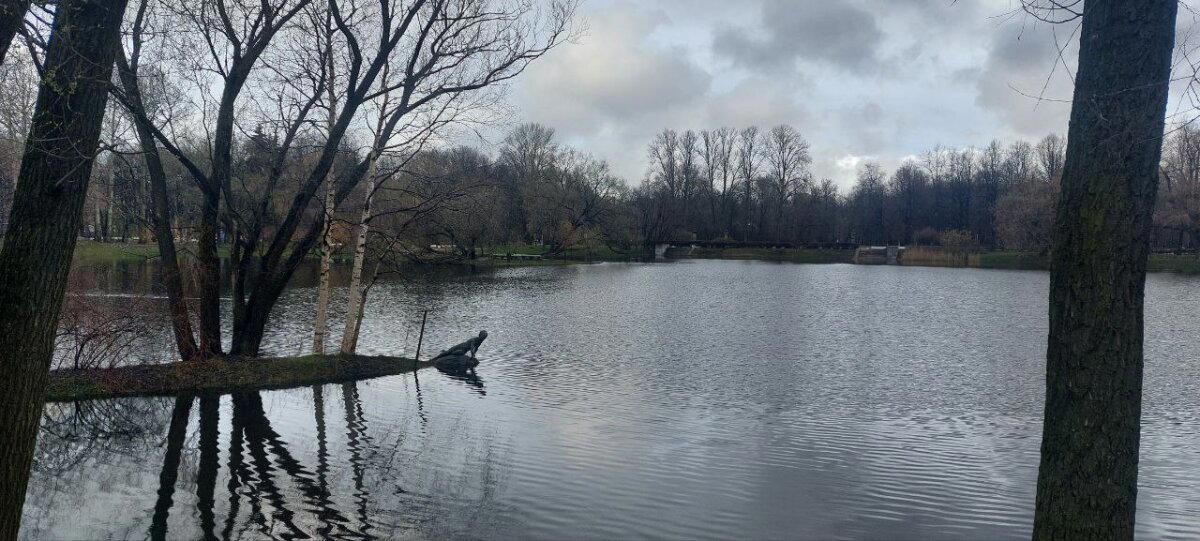 И снова изнанка отражения. Фото. Городской пейзаж (почти)