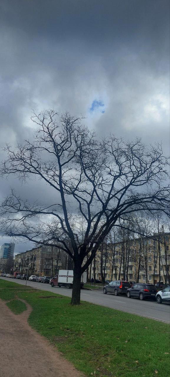 И снова изнанка отражения. Фото. Городской пейзаж (почти)