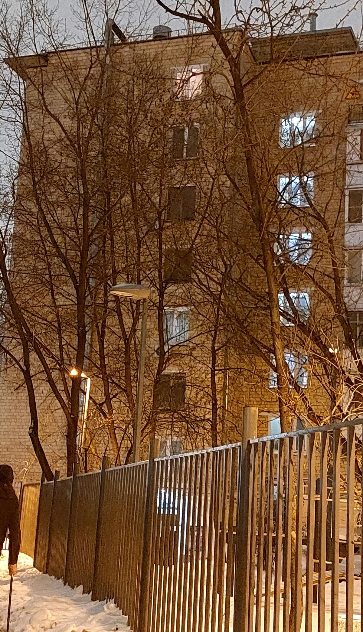 И здесь есть лось.