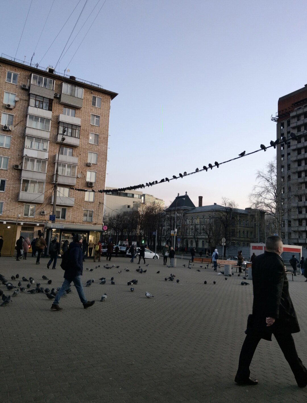 Помоги Даше путешественнице найти лося