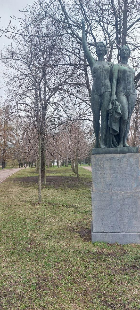 Травка зеленеет. Местами. Фото. Пейзажи.
