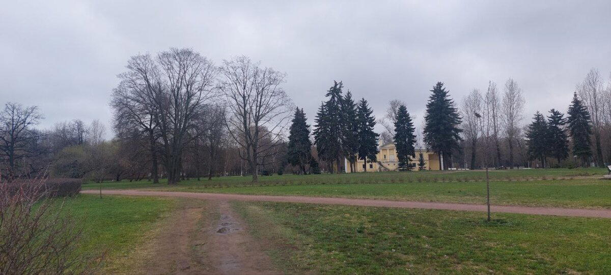 Травка зеленеет. Местами. Фото. Пейзажи.