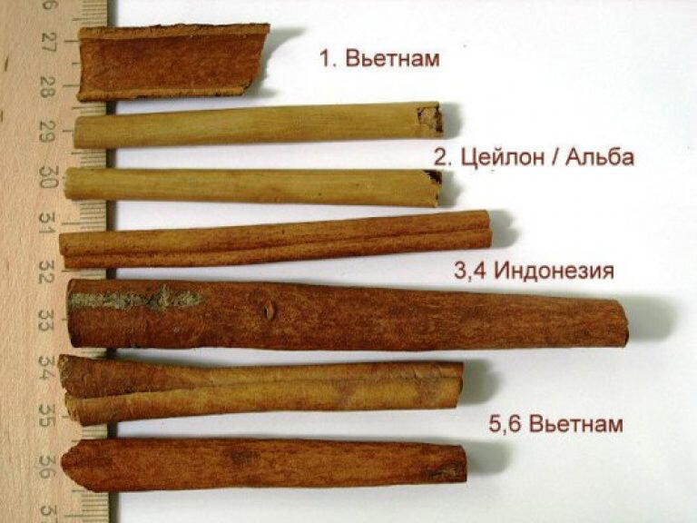 День коричного ветра