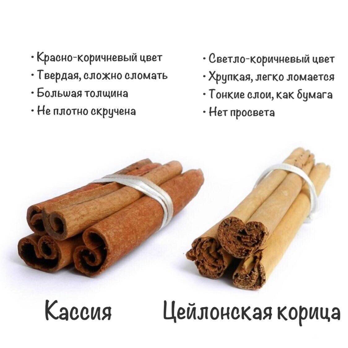 День коричного ветра