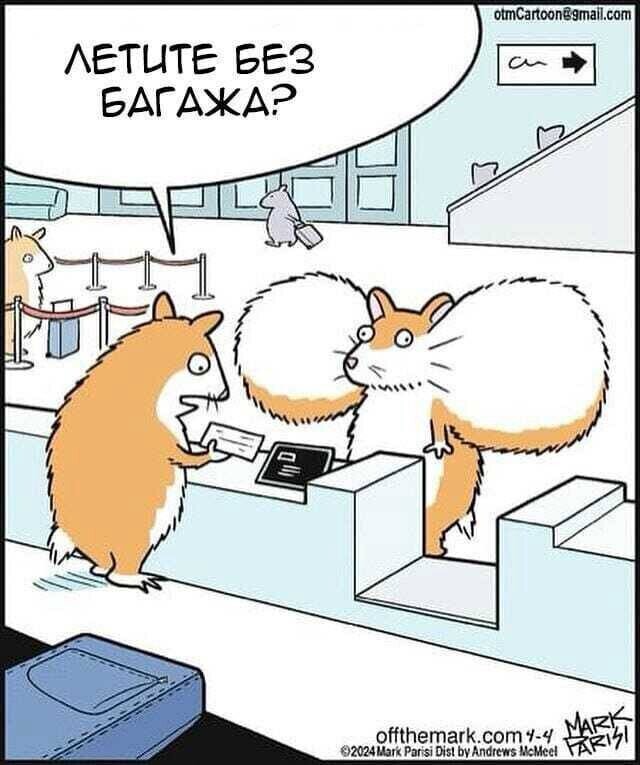 багаж