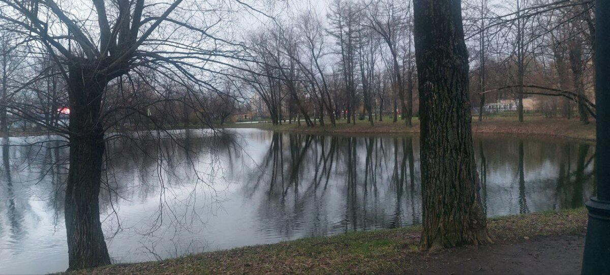 Вечерний холод. Фото. Пейзажи.