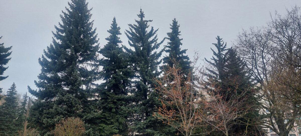Вечерний холод. Фото. Пейзажи.