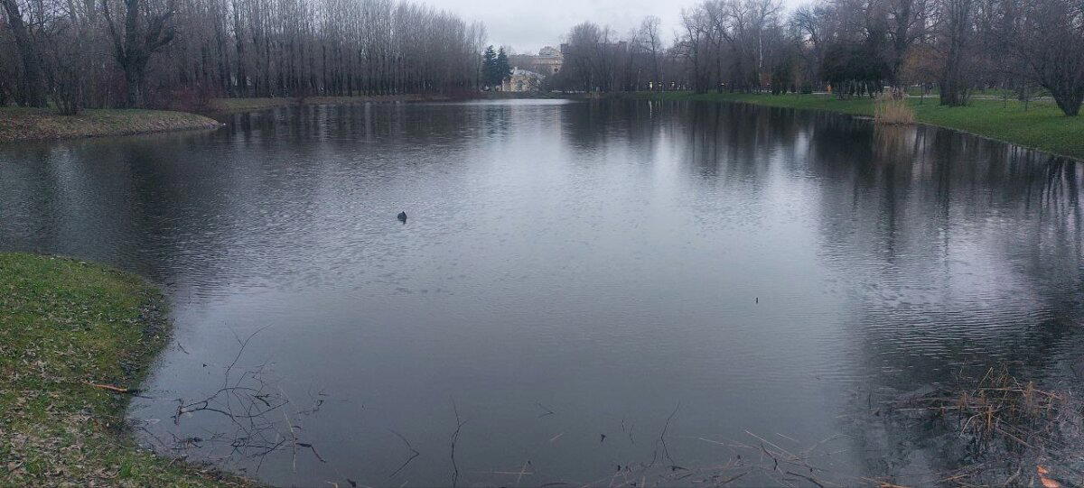 Вечерний холод. Фото. Пейзажи.