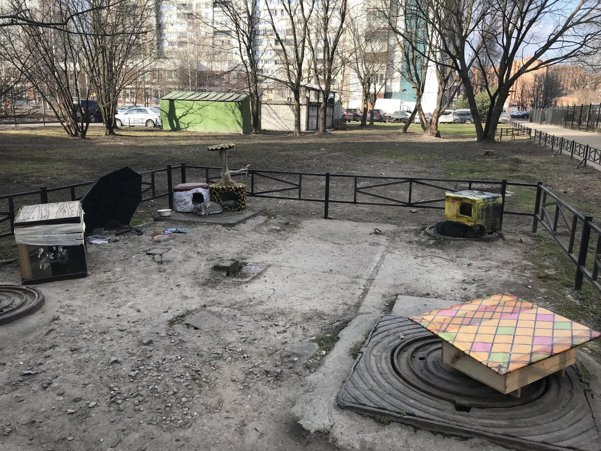 Во дворах какое-то время стояли домики для уличных котов. Их подкармливали и берегли. Хоть коты и не давались никому в руки. 2020 год.