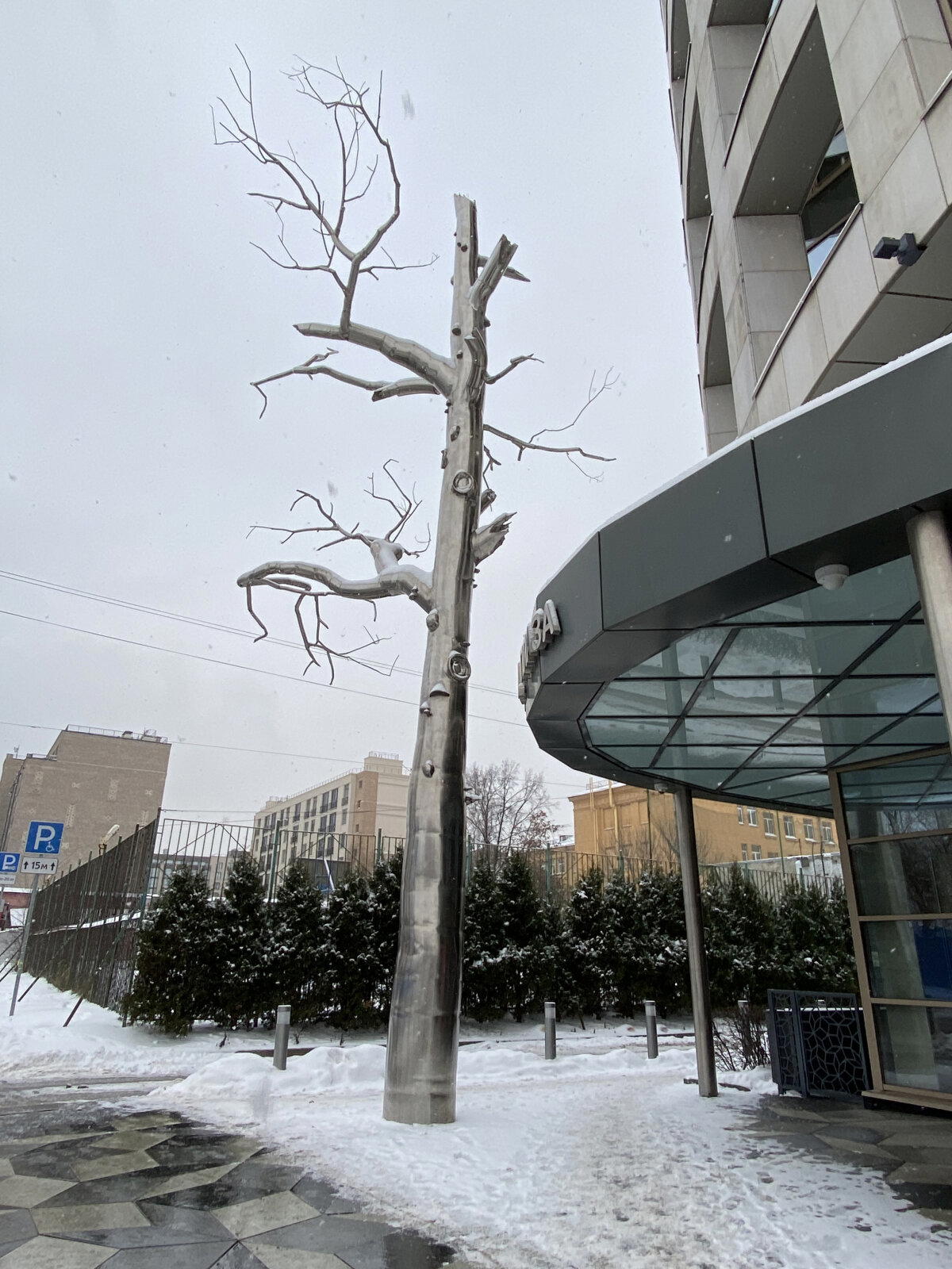 Железное древо. Находится за станцией метро Площадь Александра Невского 2. Чернорецкий переулок, 5. Декабрь 2023.