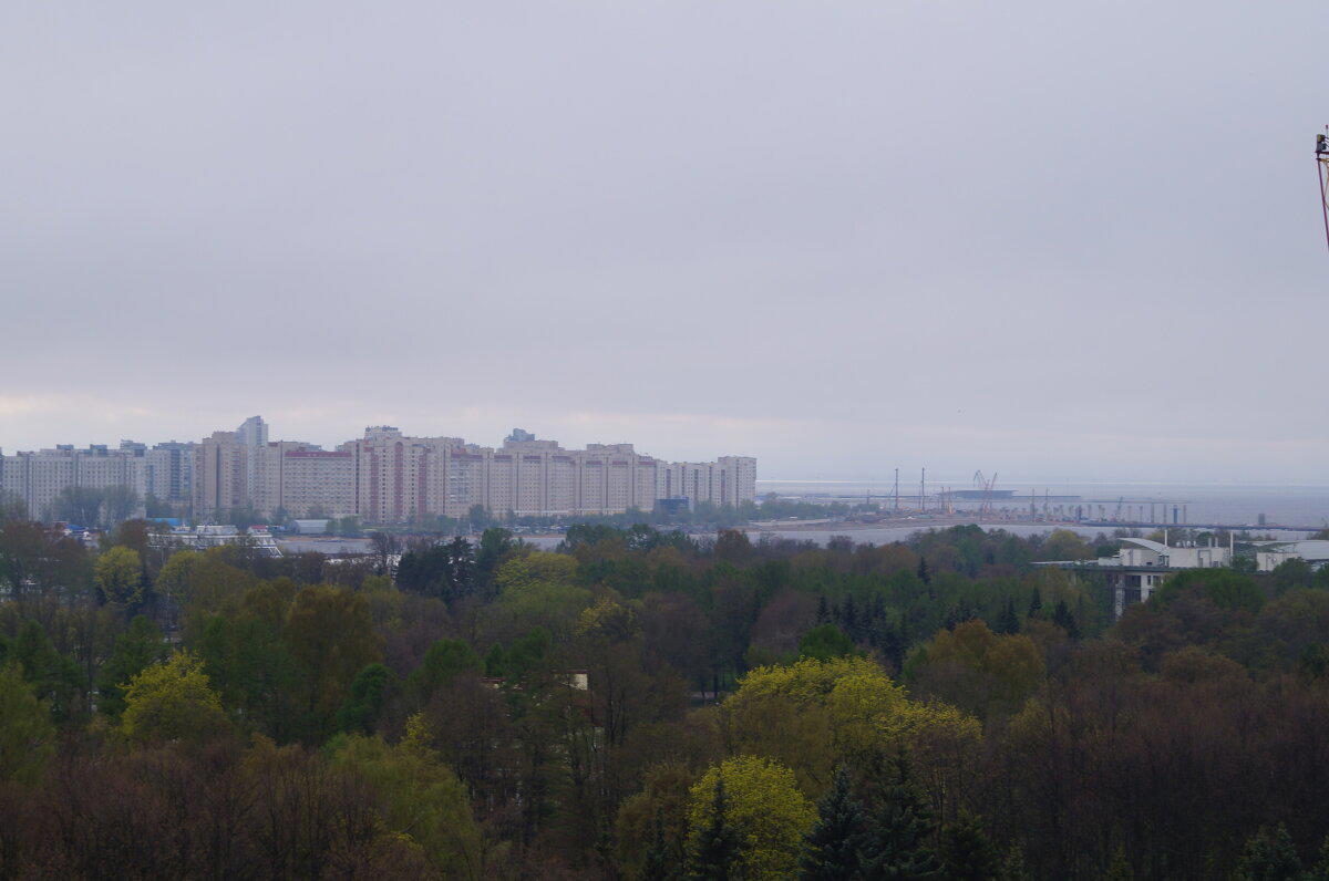 Крестовский остров. Вид с колеса обозрения на Диво Острове. 2014 год.