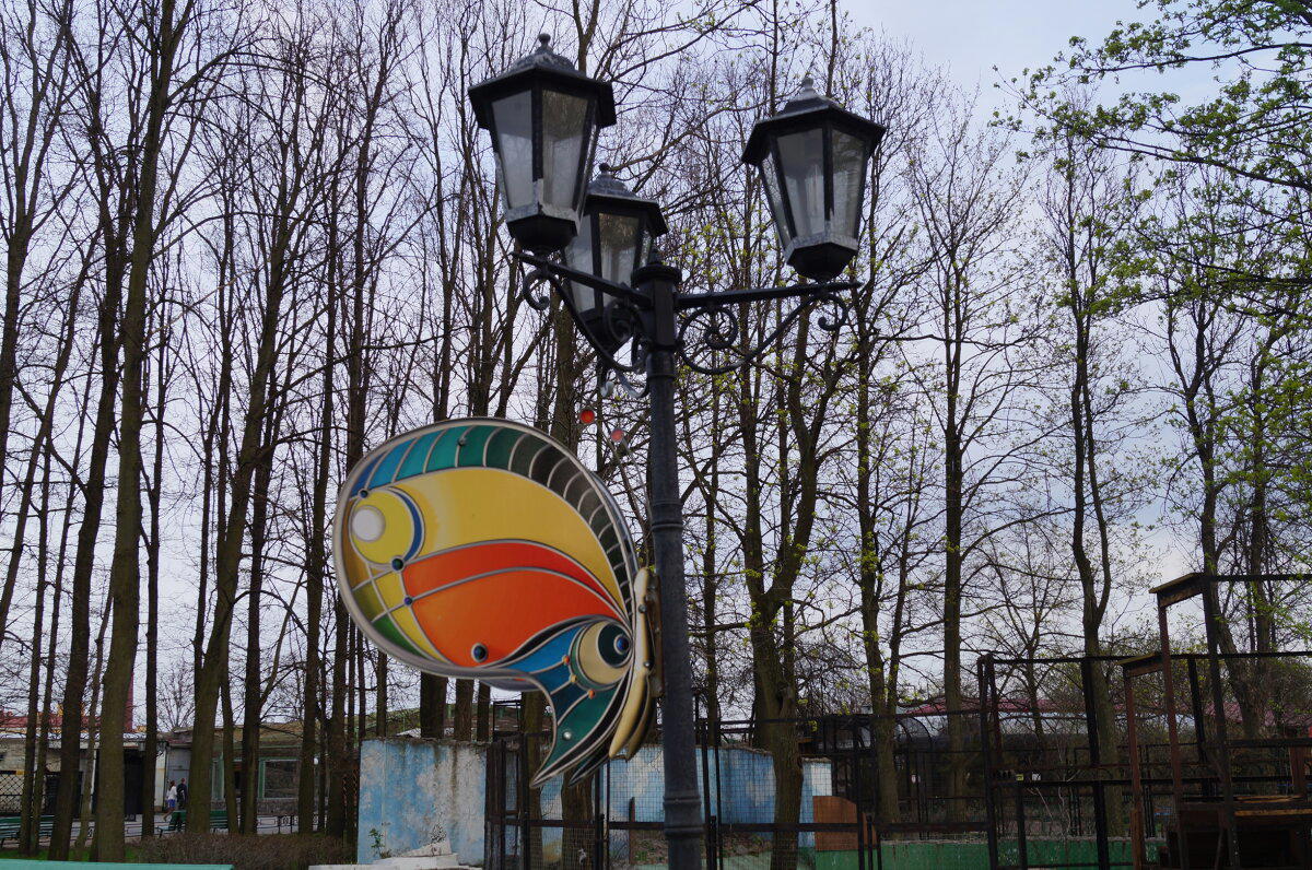 В зоопарке.