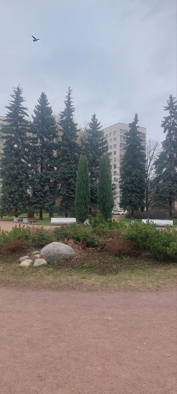 Хмурь и Холод. Фото.