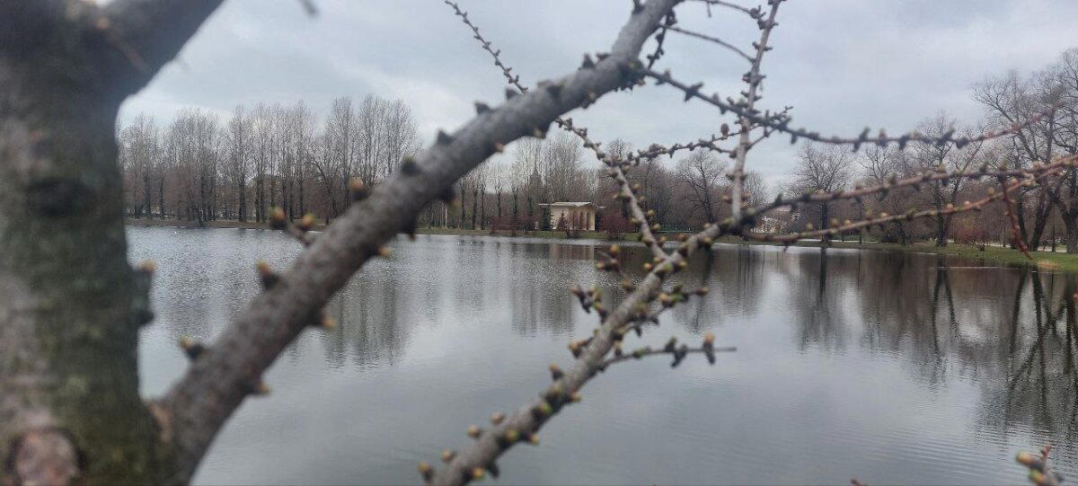 Хмурь и Холод. Фото.