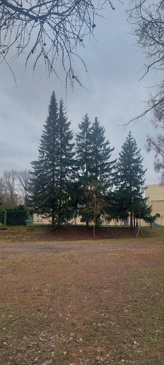 Хмурь и Холод. Фото.