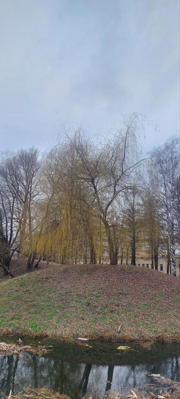 Хмурь и Холод. Фото.