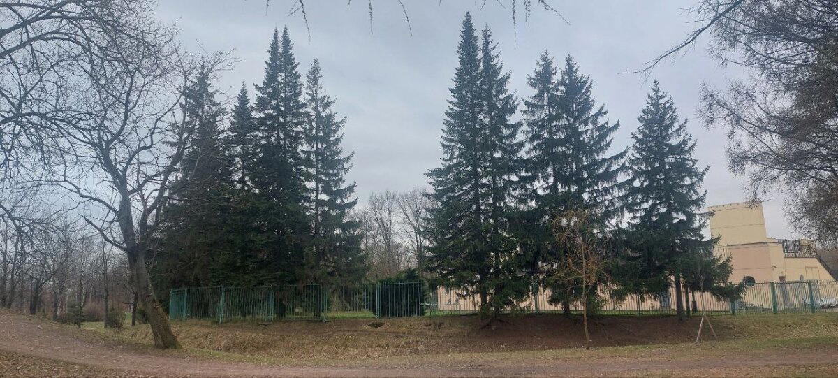 Хмурь и Холод. Фото.