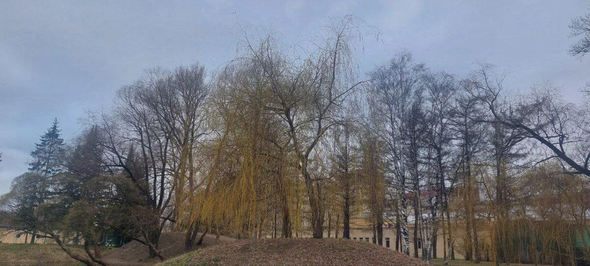 Хмурь и Холод. Фото.