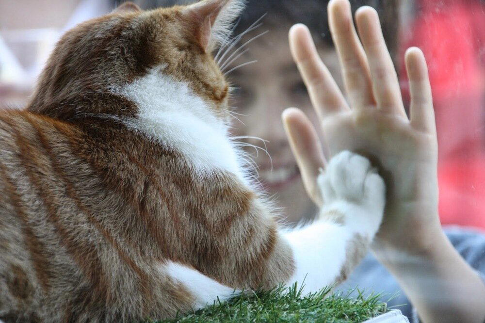 Дeнь «Дaй пять» (Nаtiоnаl High Five Dаy)