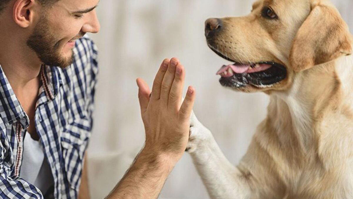 Дeнь «Дaй пять» (Nаtiоnаl High Five Dаy)
