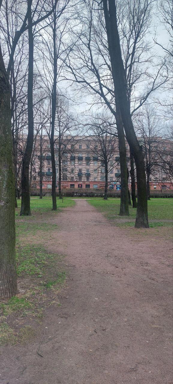 Питер настолько суров, что у него фонтаны работают в -2. Фото.