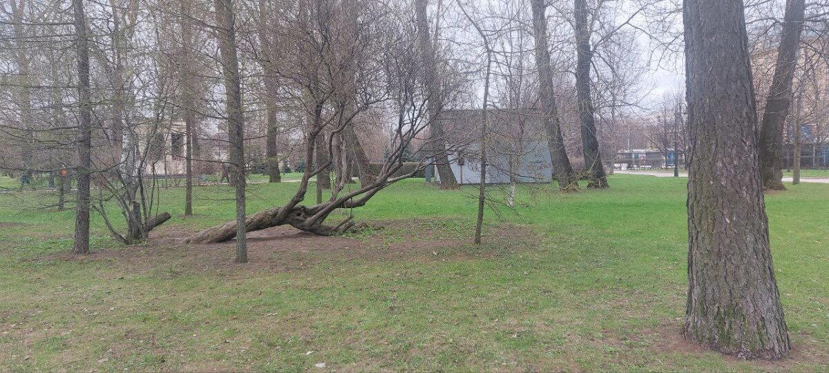 Питер настолько суров, что у него фонтаны работают в -2. Фото.