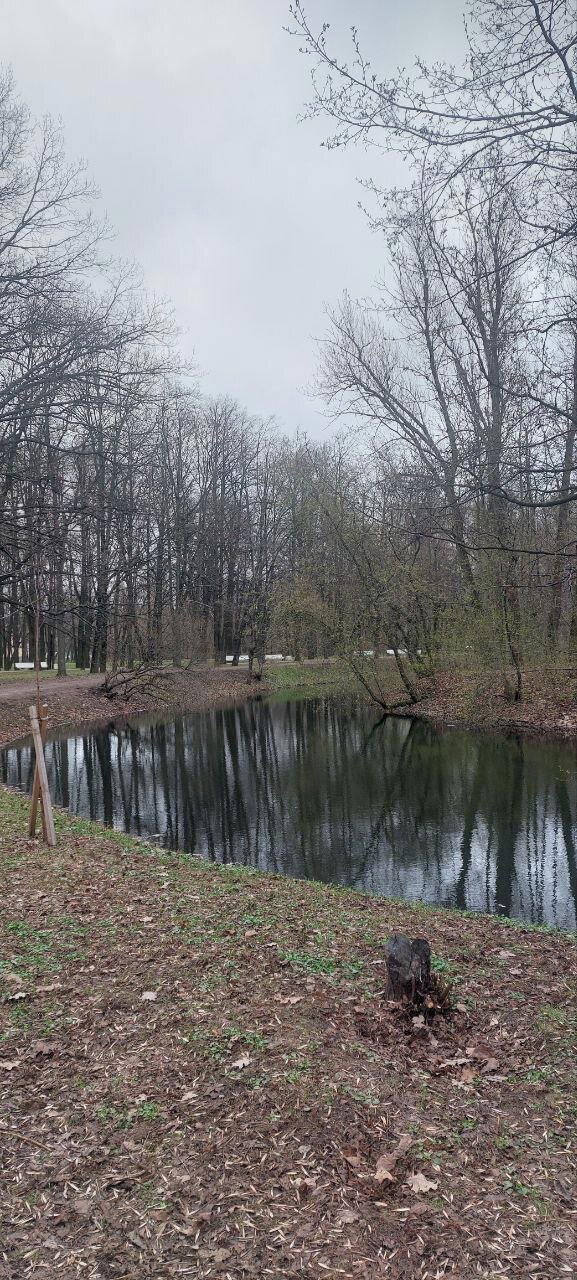 Питер настолько суров, что у него фонтаны работают в -2. Фото.