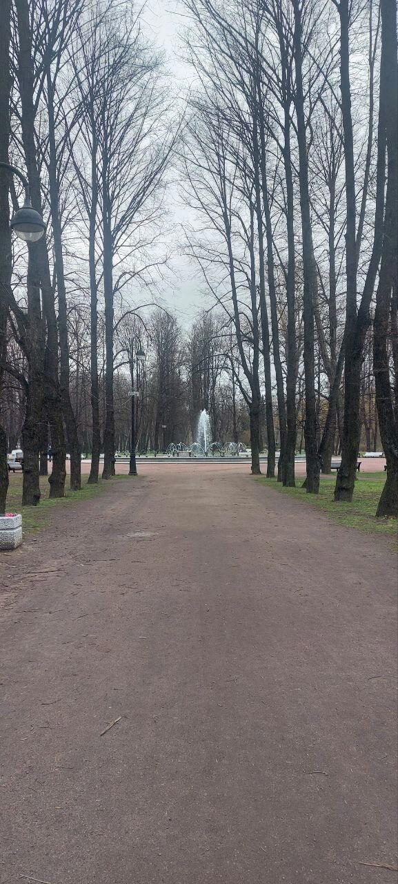 Питер настолько суров, что у него фонтаны работают в -2. Фото.
