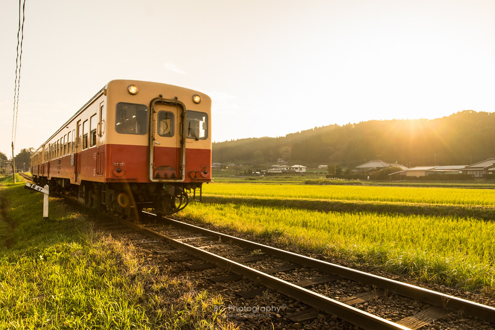 фото: bellphoto.hk