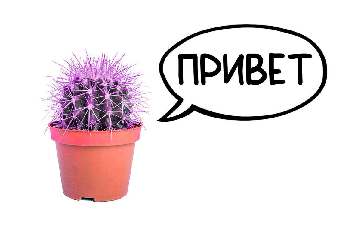 *Вениамин – это вот такое