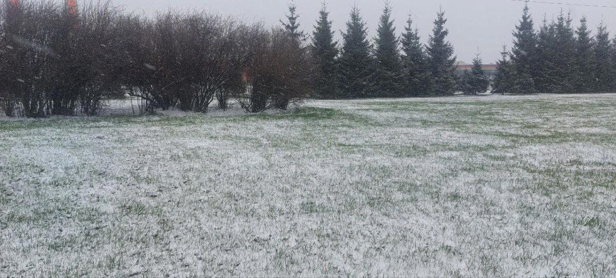 Разная весна за два дня. Фото. Много :-)