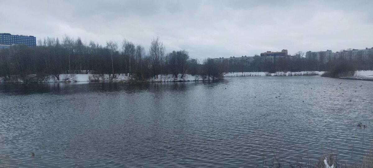 Разная весна за два дня. Фото. Много :-)