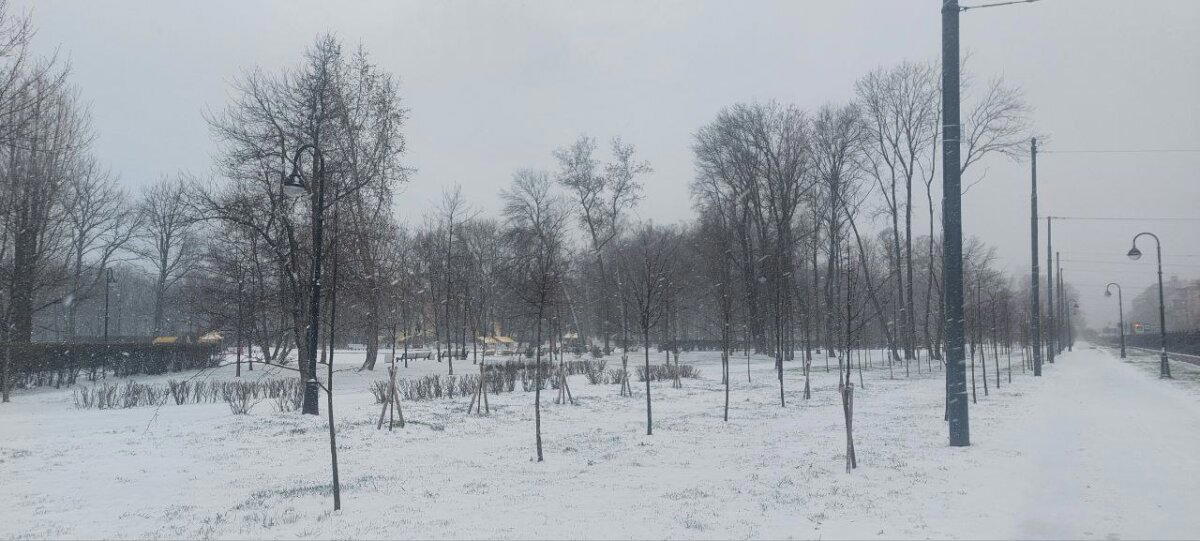 Разная весна за два дня. Фото. Много :-)