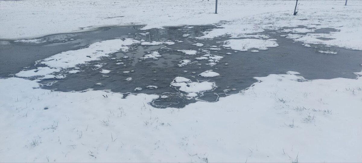 Разная весна за два дня. Фото. Много :-)