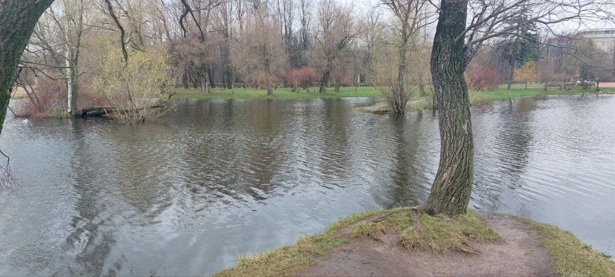 Разная весна за два дня. Фото. Много :-)