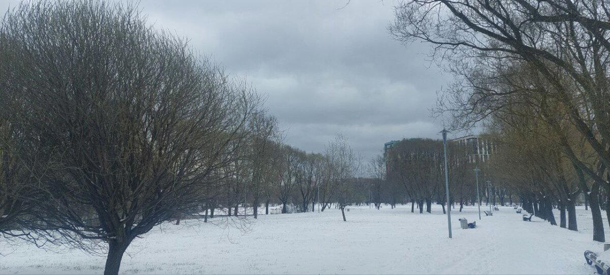 Разная весна за два дня. Фото. Много :-)