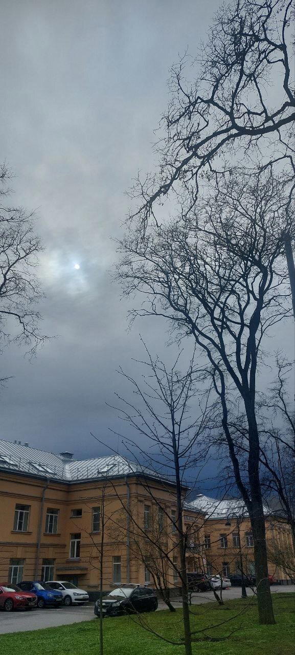 Разная весна за два дня. Фото. Много :-)