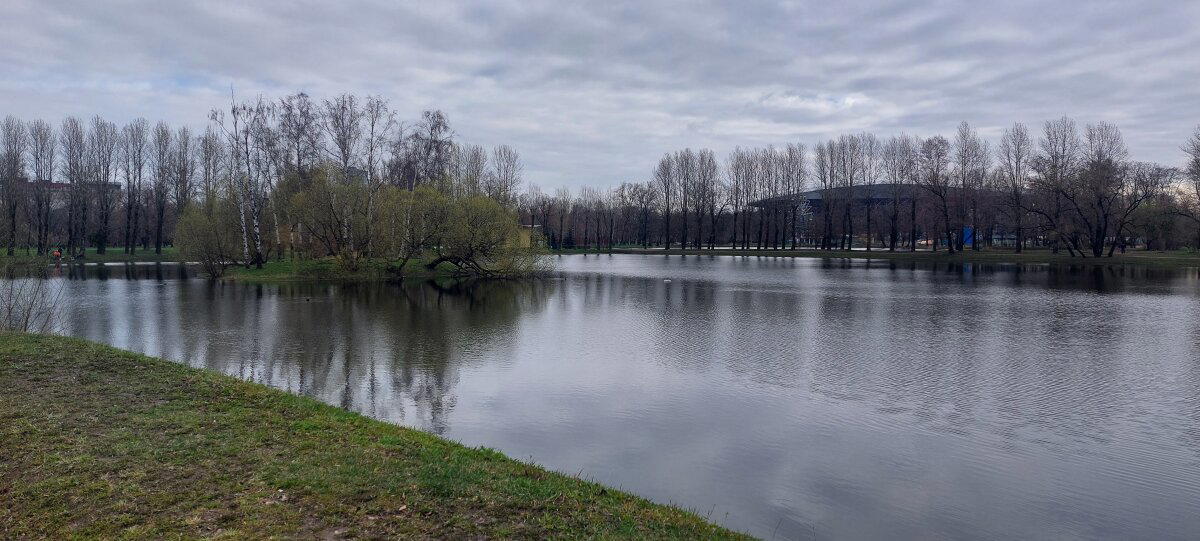 Хмурь набежала. Но солнце было. Фото. Пейзажи.