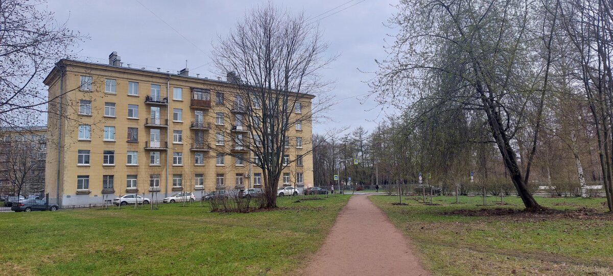 Хмурь набежала. Но солнце было. Фото. Пейзажи.