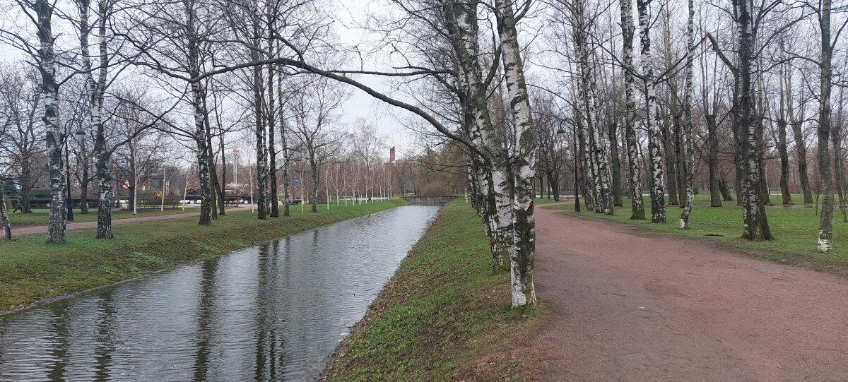 Хмурь набежала. Но солнце было. Фото. Пейзажи.