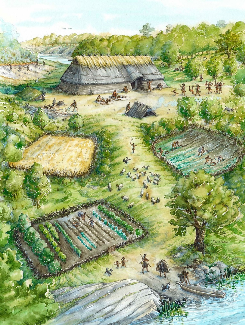Исторические иллюстрации VÄNEHEM показывают, как была устроена жизнь викингов