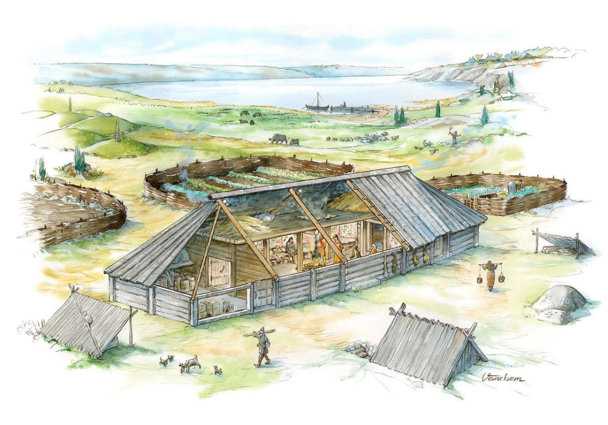 Исторические иллюстрации VÄNEHEM показывают, как была устроена жизнь викингов